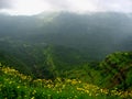 Matheran landscape in monsoon Royalty Free Stock Photo