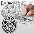 Maths,science formula and brain sign Royalty Free Stock Photo