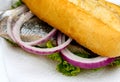 Matjes herring in a bread roll with red onions Royalty Free Stock Photo