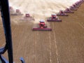 Mass soybean harvesting