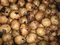 this is a matoa fruit, this fruit is not available in all areas, such as in the Papua region, there are many types of matoa
