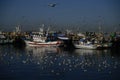 Matosinhos fishermans trawler group and seaguls fly around