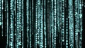 Matrix binary code rain looping animation