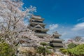 Matsumoto Castle during cherry blossom season