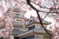 Matsumoto castle with pink sakura blossom, Nagano, Japan Royalty Free Stock Photo