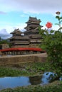 Matsumoto Castle with a rose