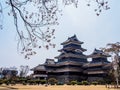 Matsumoto castle with sakura blossom , Matsumoto, Japan 4 Royalty Free Stock Photo