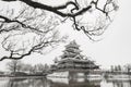 Matsumoto Castle with tree branches and snow in winter season, Nagano, Japan. Architecture landscape background in travel trip