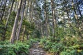 Matsumoto Pass in Kumano, Japan