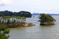 Matsushima Bay , beautiful islands covered with pine trees