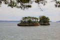 Matsushima Bay , beautiful islands covered with pine trees