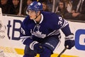 Matt Frattin Toronto Maple Leafs Royalty Free Stock Photo