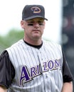 Matt Williams, Arizona Diamondbacks