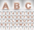 Matte copper alphabet on white background. 3D letters numbers and font symbols with shiny metallic texture.