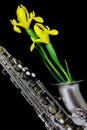Close up of a silver matte finished alto saxophone with yellow iris lilies on black background