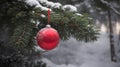 Matte red Christmas ball hangs from pine branch.