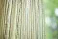 Matte tulle with vertical threads pattern. Green blurred garden in background, front view