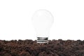 Matte white light bulb in soil