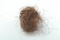 Matted hair Royalty Free Stock Photo