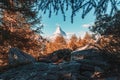 Matterhorn mountain with golden pine forest covered in autumn at Grindjisee lake, Switzerland Royalty Free Stock Photo