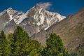 Matterhorn mountain near Zermatt city with flowers abd trees in the foreground. Canton of Valais