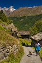 Matterhorn mountain near Zermatt city with flowers abd trees in the foreground. Canton of Valais