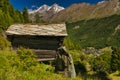 Matterhorn mountain near Zermatt city with flowers abd trees in the foreground. Canton of Valais