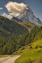 Matterhorn mountain near Zermatt city with flowers abd trees in the foreground. Canton of Valais