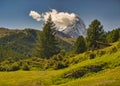 Matterhorn mountain near Zermatt city with flowers abd trees in the foreground. Canton of Valais