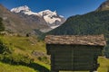 Matterhorn mountain near Zermatt city with flowers abd trees in the foreground. Canton of Valais