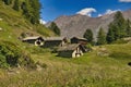 Matterhorn mountain near Zermatt city with flowers abd trees in the foreground. Canton of Valais