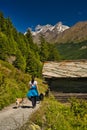 Matterhorn mountain near Zermatt city with flowers abd trees in the foreground. Canton of Valais