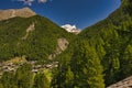 Matterhorn mountain near Zermatt city with flowers abd trees in the foreground. Canton of Valais