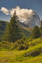 Matterhorn mountain near Zermatt city with flowers abd trees in the foreground. Canton of Valais