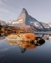 Matterhorn peak on Stellisee lake Royalty Free Stock Photo