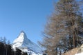 Matterhorn peak in Zermatt in winter with snow and blue sky on a sunny day in the Alps, Switzerland Royalty Free Stock Photo