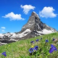 Matterhorn - Pennine Alps, Switzerland Royalty Free Stock Photo