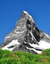Matterhorn - Swiss Alps Royalty Free Stock Photo
