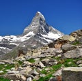 Matterhorn - Swiss alps Royalty Free Stock Photo