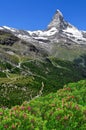 Matterhorn - Swiss Alps Royalty Free Stock Photo