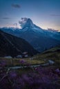 Matterhorn in the Swiss Alps during Sunset in Summer 2021 Royalty Free Stock Photo