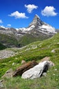 Matterhorn - Swiss Alps Royalty Free Stock Photo