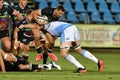 Zebre vs Cardiff Blues