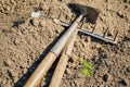 Mattock and rake on soil