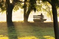 Mature Adult Male Sits Thoughtfully On Park Bench