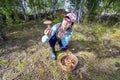 Mature athletic woman picking mushrooms in a large forest