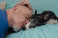A mature, bald man gives an affectionate kiss to his greyhound on the sofa Royalty Free Stock Photo