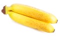 Mature Bananas Royalty Free Stock Photo