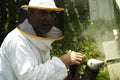 Mature beekeeper smoking bees in beehive