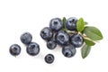 Mature bilberry